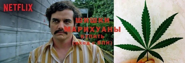 гидра Заволжск