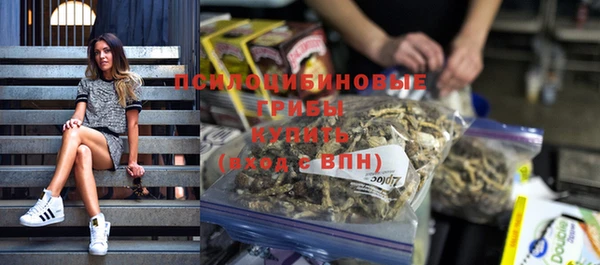 марихуана Заводоуковск