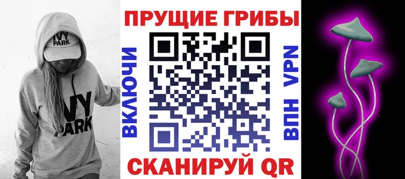 закладки  Жуковский  Псилоцибиновые грибы GOLDEN TEACHER 